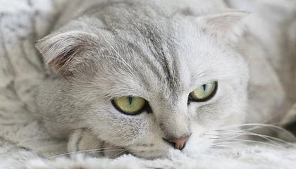 做内容的朋友提醒我：别再乱点了，吃瓜51真正影响体验的是筛选条件（真相有点反常识）