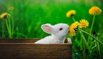 心凉半截！无人关注的细节让网友吵翻了，内情第一次被公开，心凉了半截怎么回复