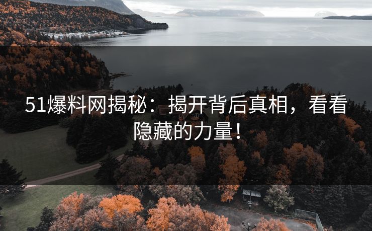 51爆料网揭秘:揭开背后真相,看看隐藏的力量!