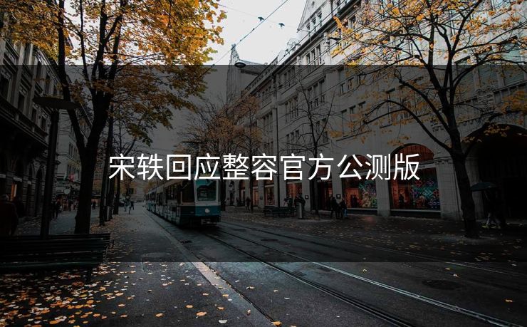 宋轶回应整容官方公测版 宋轶回应整容官方公测版
